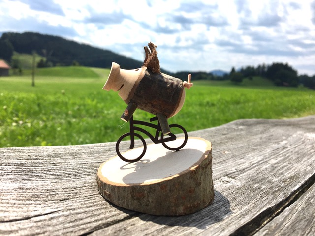 Glücksschwein auf Fahrrad 