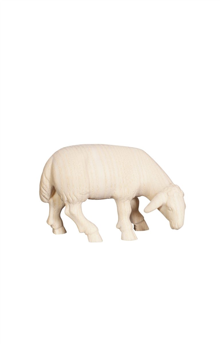 wooden eating sheep for the modern Nativity in 45 cm