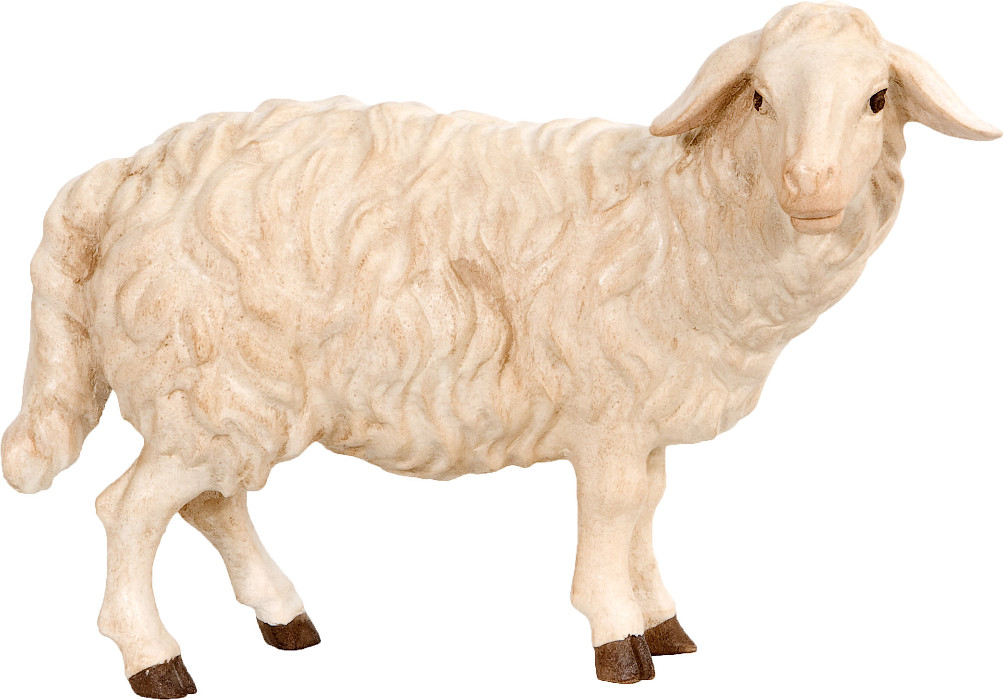 Allgäu Krippe 20 cm feingefräst: Schaf stehend